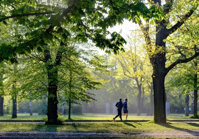 Oakwood Park