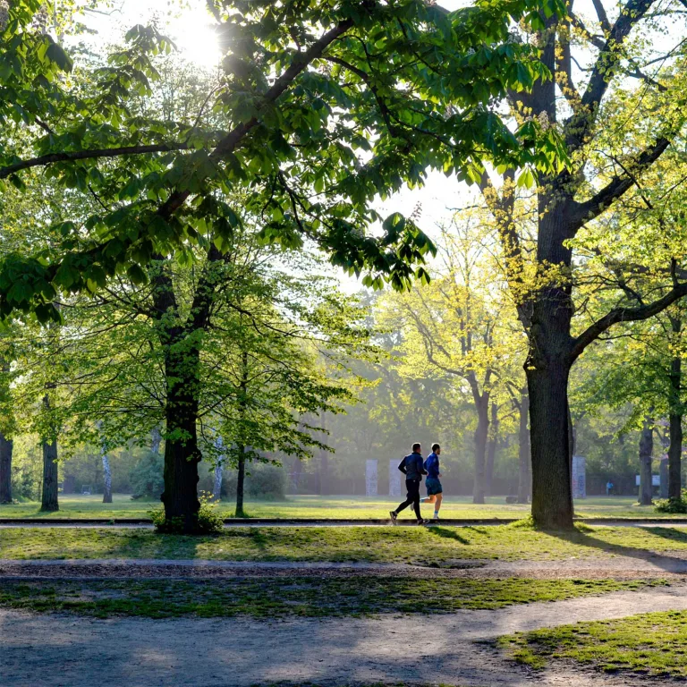 Oakwood Park